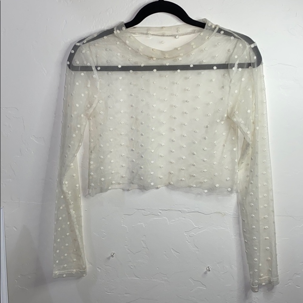 Long sleeve sheer top